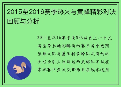 2015至2016赛季热火与黄蜂精彩对决回顾与分析