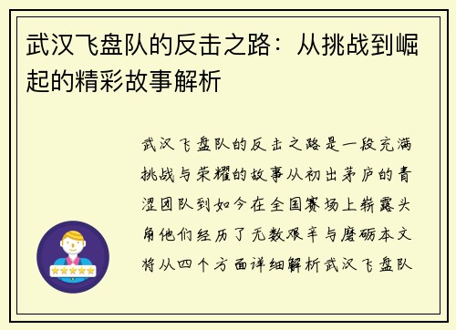 武汉飞盘队的反击之路：从挑战到崛起的精彩故事解析